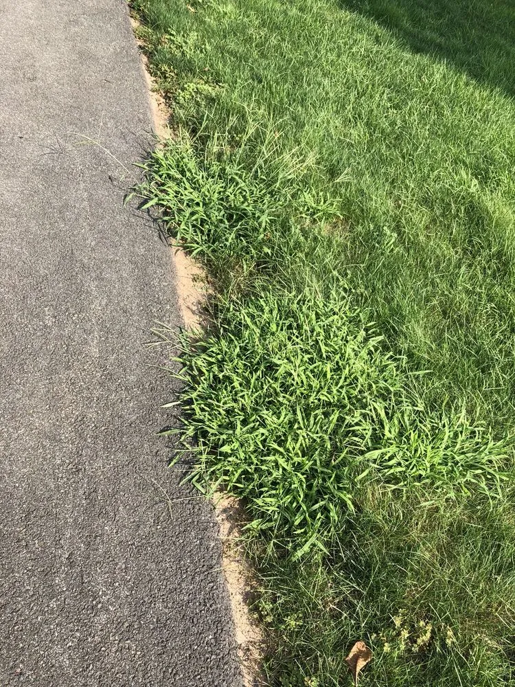 Professional landscape design in Sandy Hook, CT by Lawn Doctor of Greater Oxford