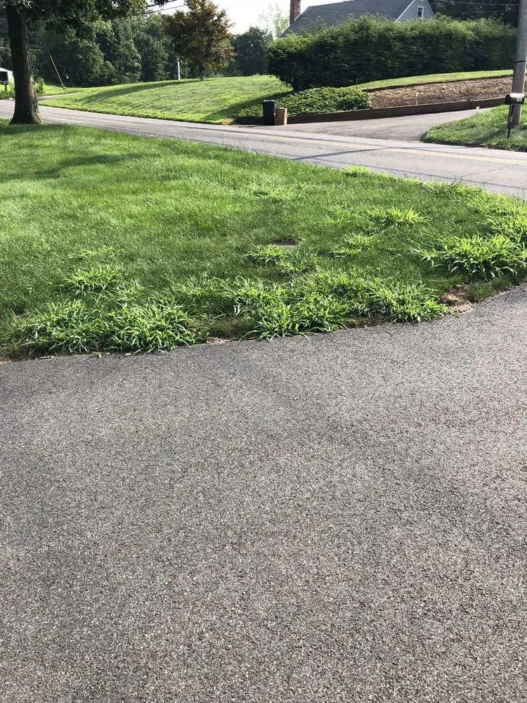 Local residential landscaping in Sandy Hook, CT - Lawn Doctor of Greater Oxford