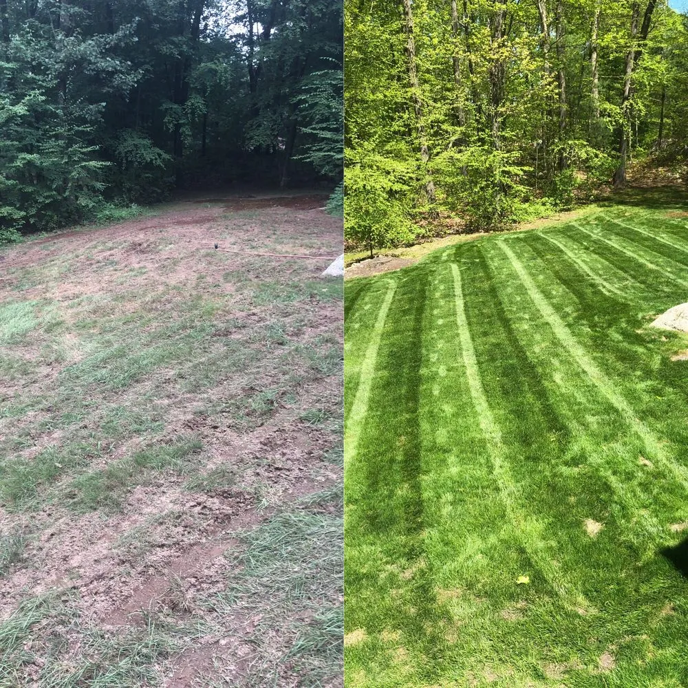 Top-rated landscape installation in Sandy Hook, CT - Lawn Doctor of Greater Oxford