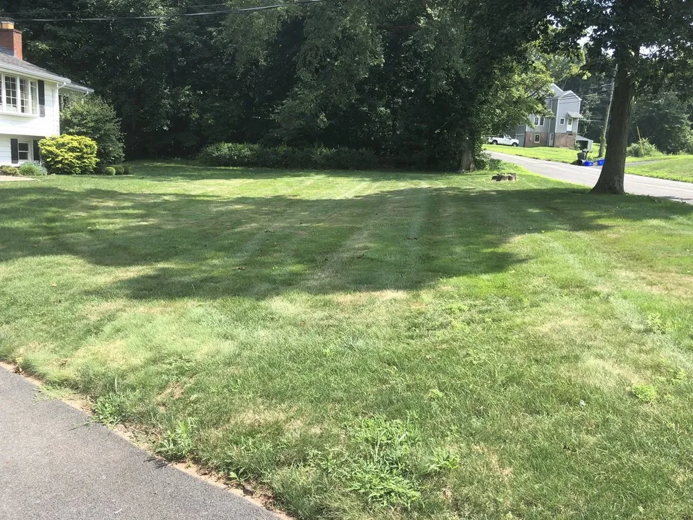 Expert residential landscaping experts serving Sandy Hook, CT - Lawn Doctor of Greater Oxford