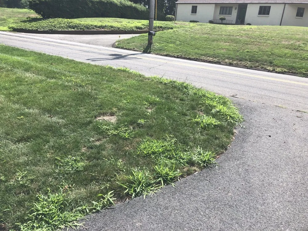 Local landscape design for beautiful yards across Sandy Hook, CT - Lawn Doctor of Greater Oxford