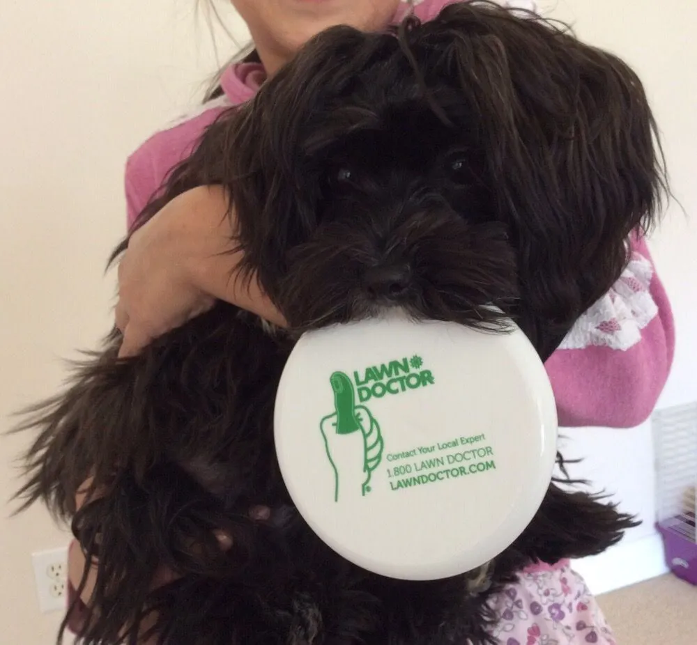 Local yard cleanup service in Carmel, IN - Lawn Doctor of Hamilton County