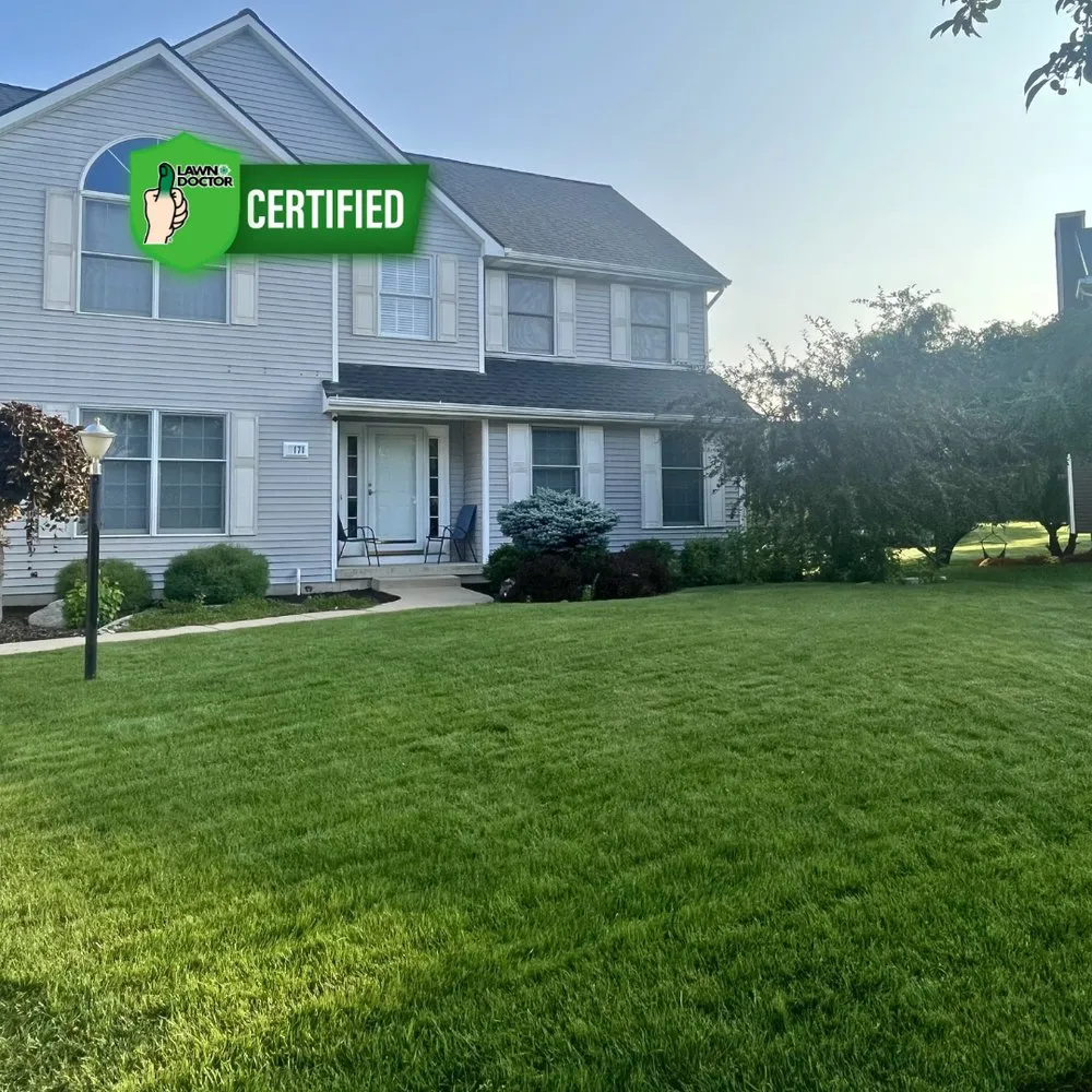 Local landscaping services for outdoor upgrades across Jenison, MI - Lawn Doctor of Hudsonville-Grandville