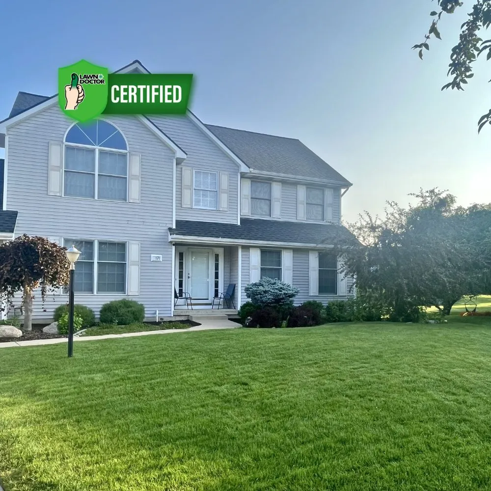 Local lawn care service in Jenison, MI by Lawn Doctor of Hudsonville-Grandville