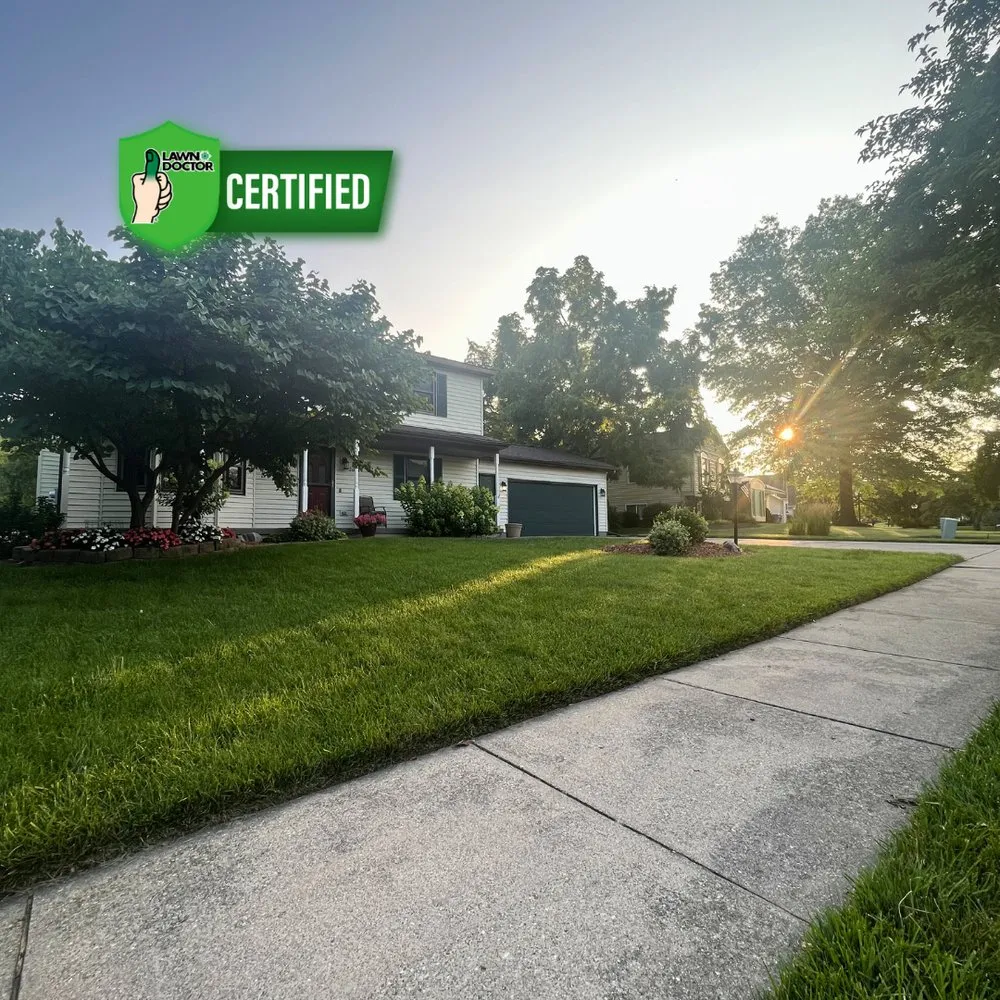 Reliable landscaping services for year-round maintenance across Jenison, MI - Lawn Doctor of Hudsonville-Grandville
