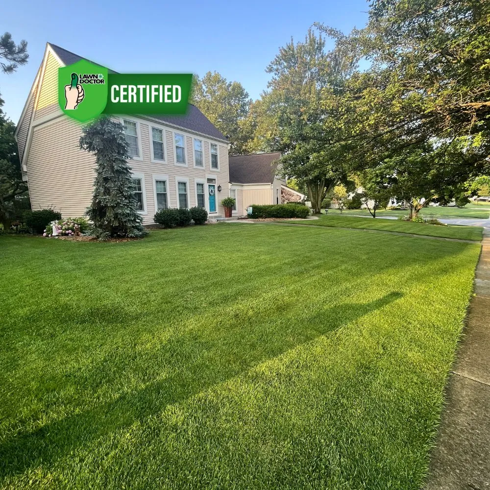 Top-rated residential landscaping in Jenison, MI by Lawn Doctor of Hudsonville-Grandville