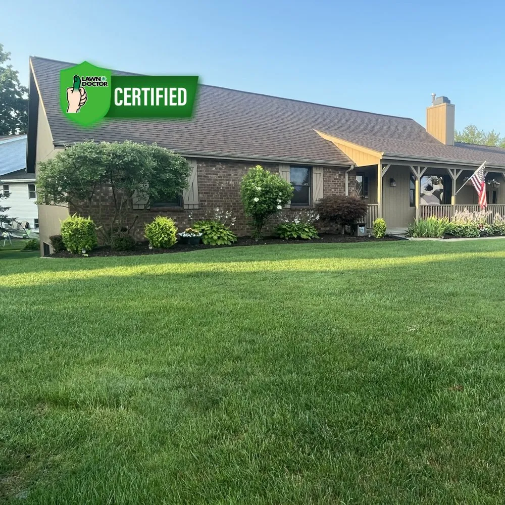 Local yard cleanup service in Jenison, MI by Lawn Doctor of Hudsonville-Grandville