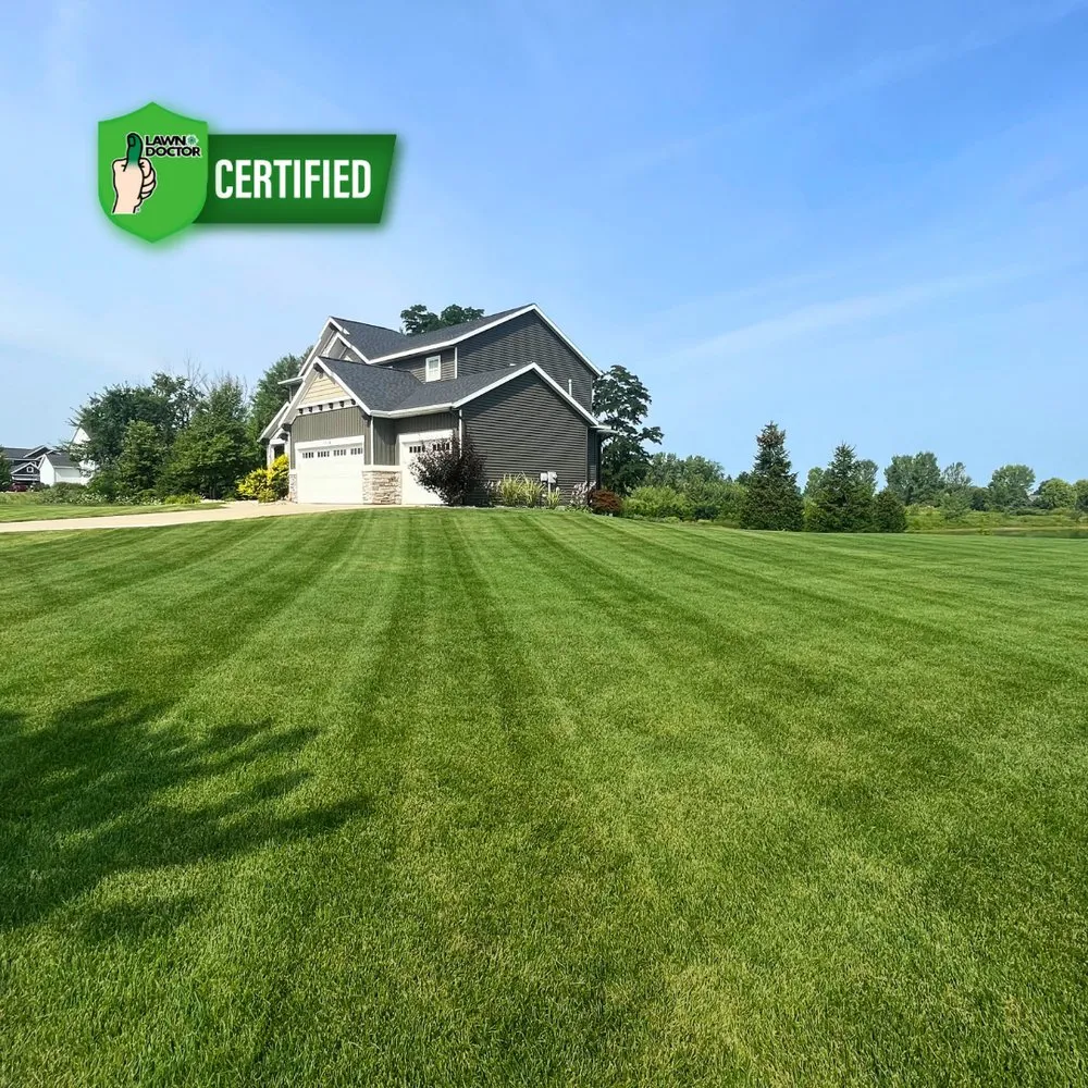 Local yard cleanup service in Jenison, MI by Lawn Doctor of Hudsonville-Grandville