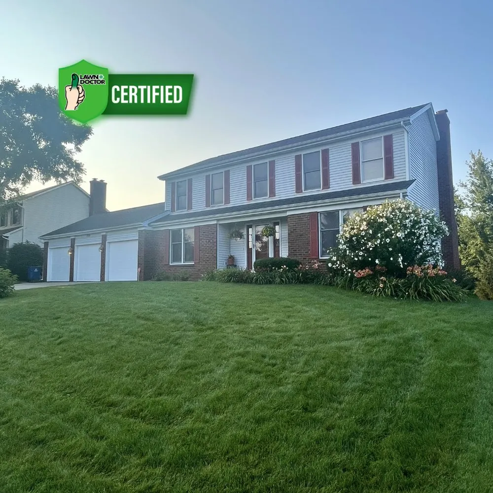 Reliable lawn care service in Jenison, MI - Lawn Doctor of Hudsonville-Grandville