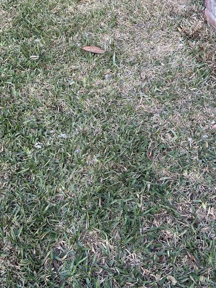 Affordable landscape installation with custom design across Jacksonville, FL - Lawn Doctor of Jacksonville-Southside-The Beaches