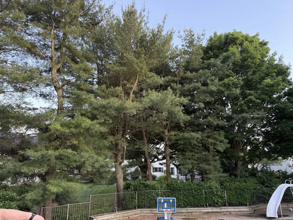 Affordable lawn mowing service experts serving Portage, MI - Lawn Doctor of Kalamazoo-Portage