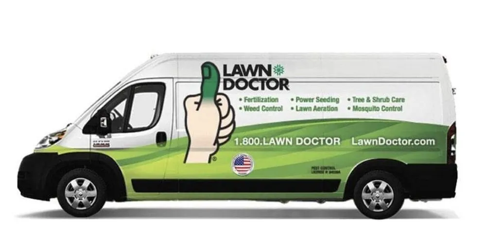 Professional yard cleanup service for outdoor upgrades across Gatesville, TX - Lawn Doctor of Killeen-Temple-Gatesville