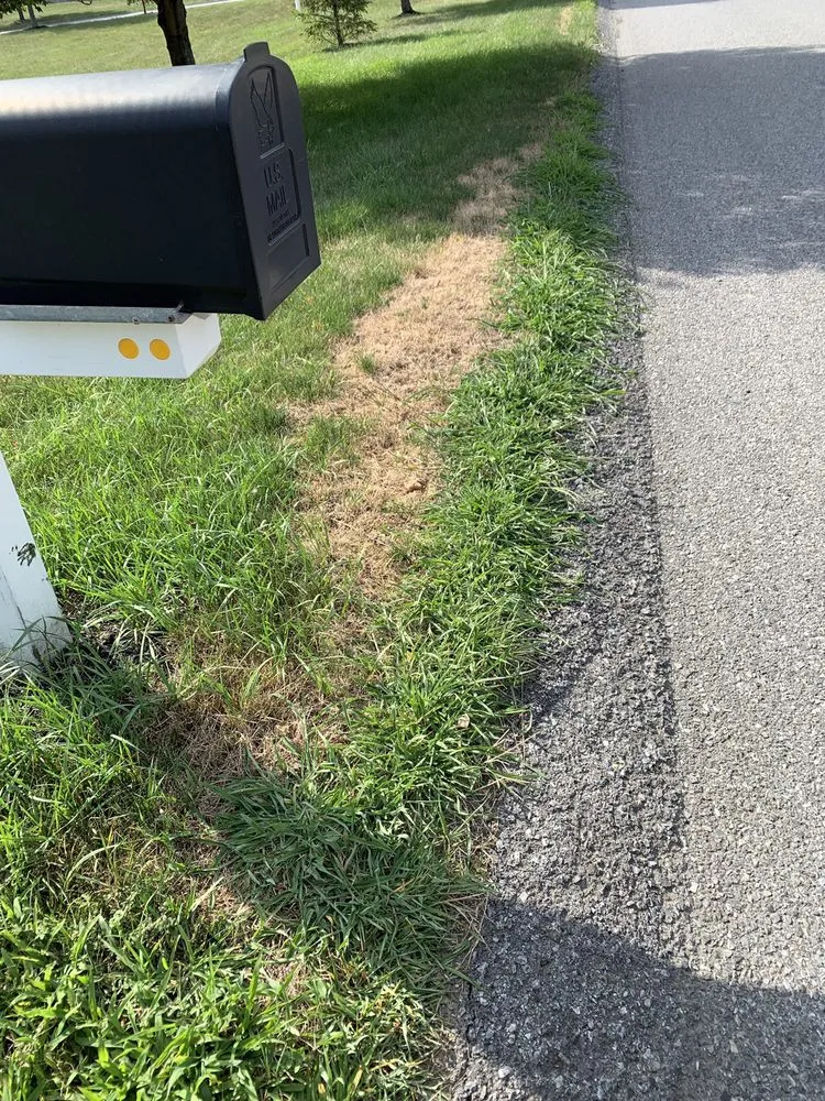 Local outdoor landscaping for outdoor upgrades in Kingston, NY by Lawn Doctor of Kingston, Poughkeepsie & Hudson