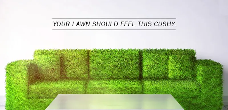 Custom lawn care service for year-round maintenance across New Orleans, LA - Lawn Doctor of Lakeview