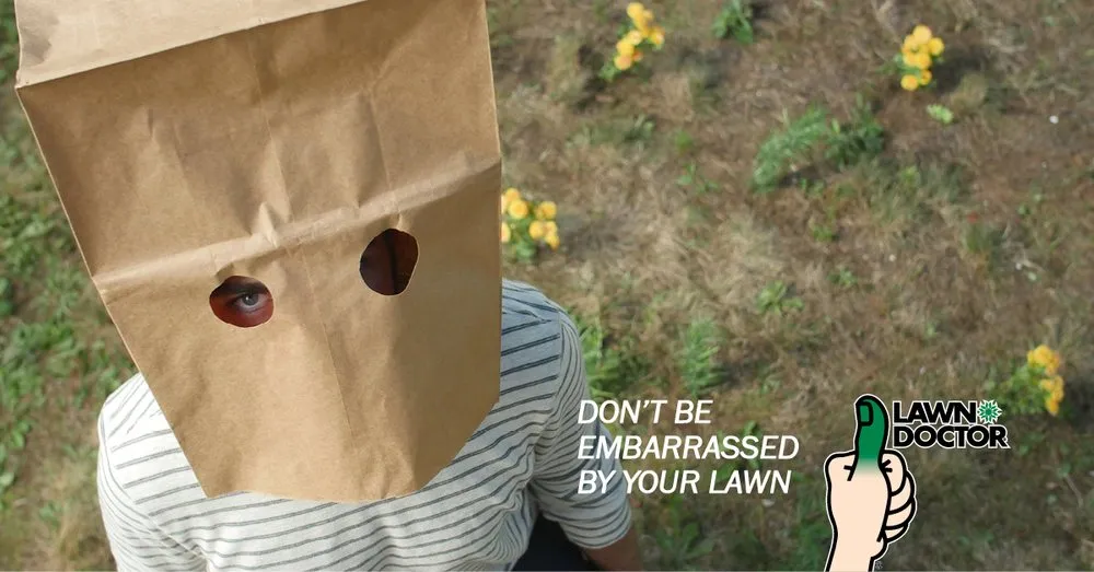 Affordable yard cleanup service for beautiful yards across New Orleans, LA - Lawn Doctor of Lakeview