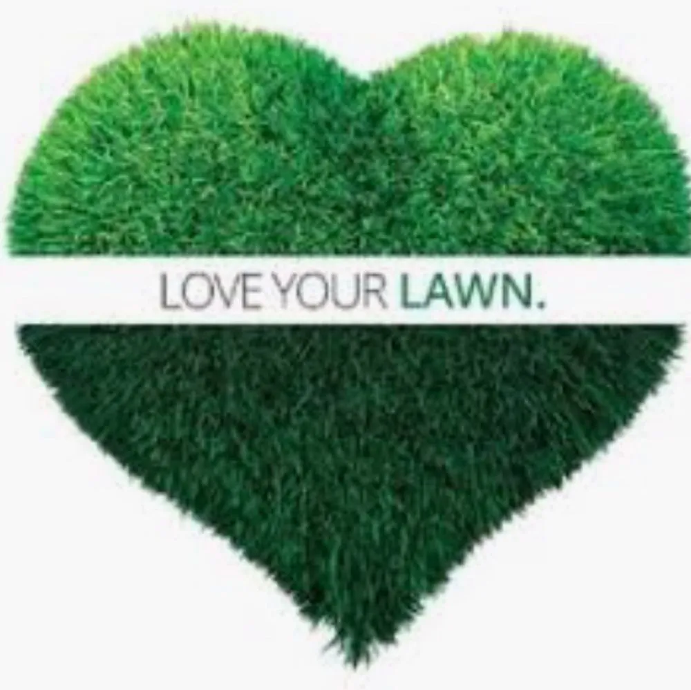 Local landscape installation for year-round maintenance across New Orleans, LA - Lawn Doctor of Lakeview