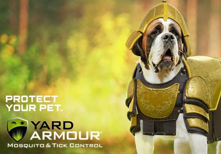 Local landscaping services for year-round maintenance in New Orleans, LA by Lawn Doctor of Lakeview