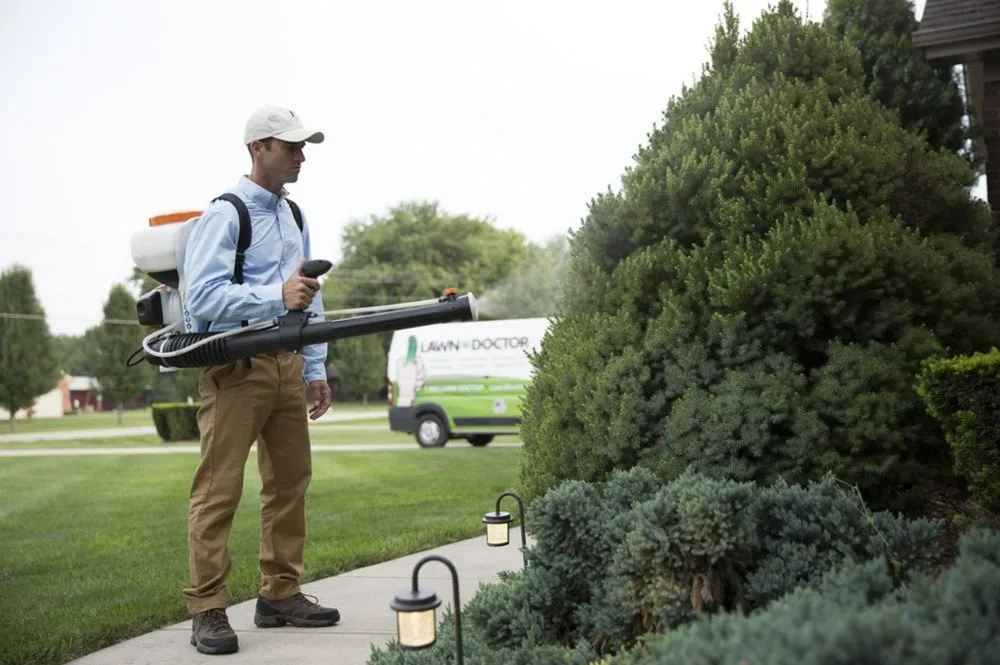 Professional landscape installation in Liberty, MO - Lawn Doctor of Liberty-Gladstone