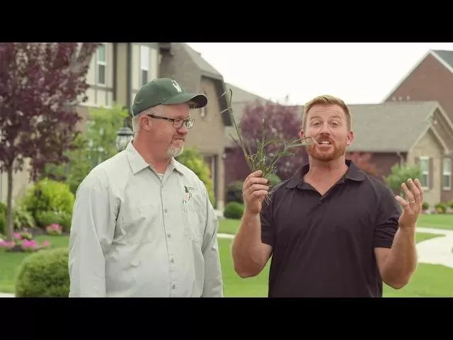 Top-rated residential landscaping in Liberty, MO by Lawn Doctor of Liberty-Gladstone