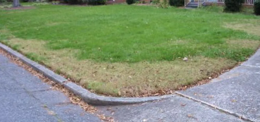 Professional garden landscaping for beautiful yards in Deer Park, NY by Lawn Doctor of Long Island