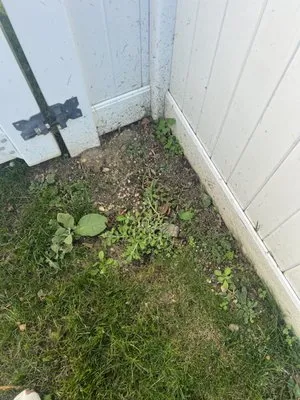 Lawn Doctor of Long Island