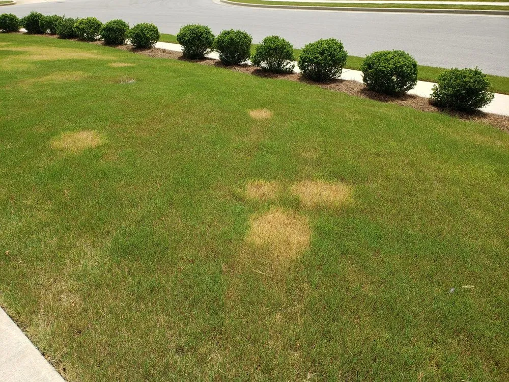 Affordable garden landscaping experts serving Decatur, AL - Lawn Doctor of Madison- Decatur South Huntsville