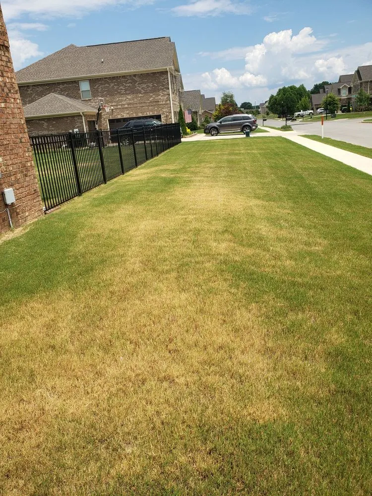 Top-rated outdoor landscaping experts serving Decatur, AL - Lawn Doctor of Madison- Decatur South Huntsville