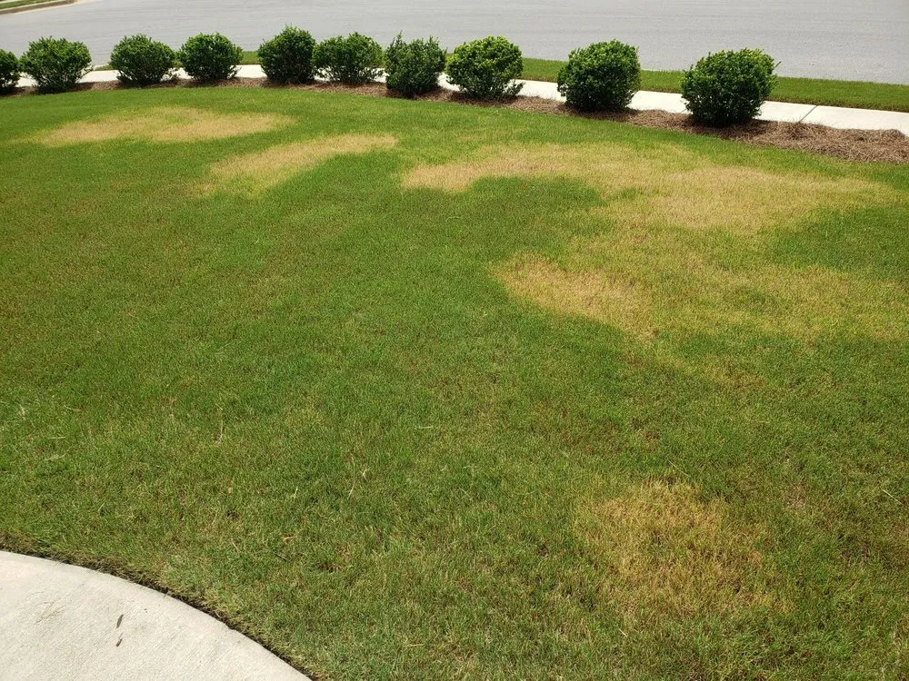 Custom residential landscaping for year-round maintenance in Decatur, AL by Lawn Doctor of Madison- Decatur South Huntsville