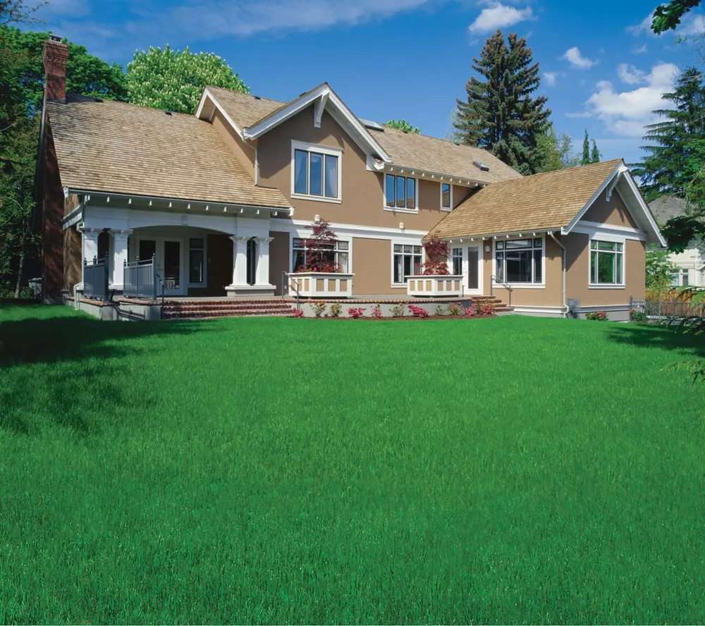 Expert outdoor landscaping in Madison, WI by Lawn Doctor of Madison