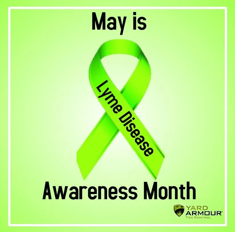 Reliable outdoor landscaping in Madison, WI - Lawn Doctor of Madison