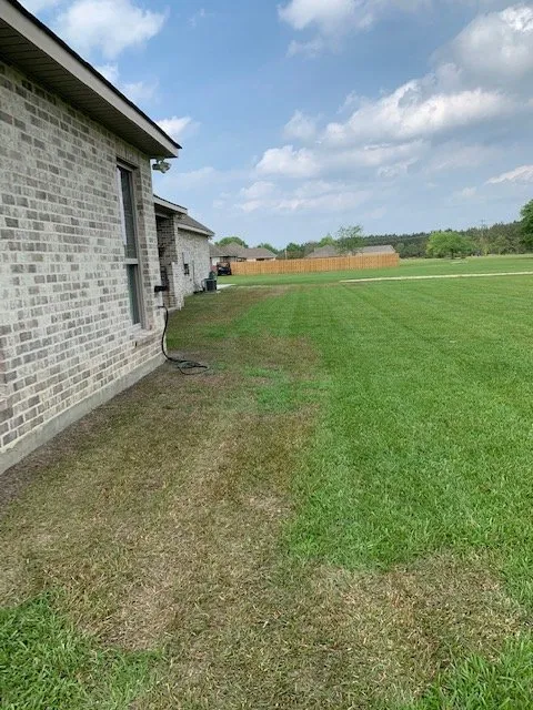 Local lawn mowing service in Mandeville, LA - Lawn Doctor of Mandeville & Covington