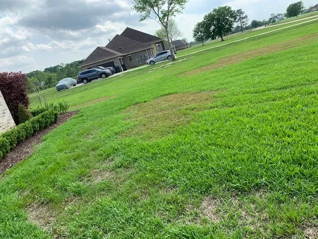 Expert outdoor landscaping in Mandeville, LA - Lawn Doctor of Mandeville & Covington