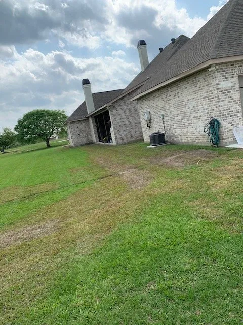 Top-rated yard cleanup service experts serving Mandeville, LA - Lawn Doctor of Mandeville & Covington