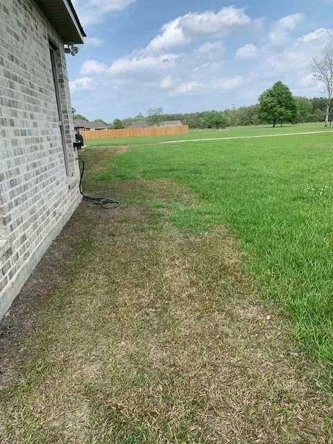 Expert residential landscaping for year-round maintenance across Mandeville, LA - Lawn Doctor of Mandeville & Covington