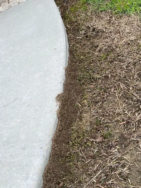 Reliable residential landscaping in Mandeville, LA by Lawn Doctor of Mandeville & Covington