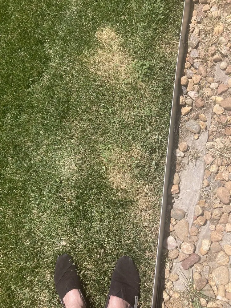 Local garden landscaping in Lakewood, CO by Lawn Doctor of Metro Denver
