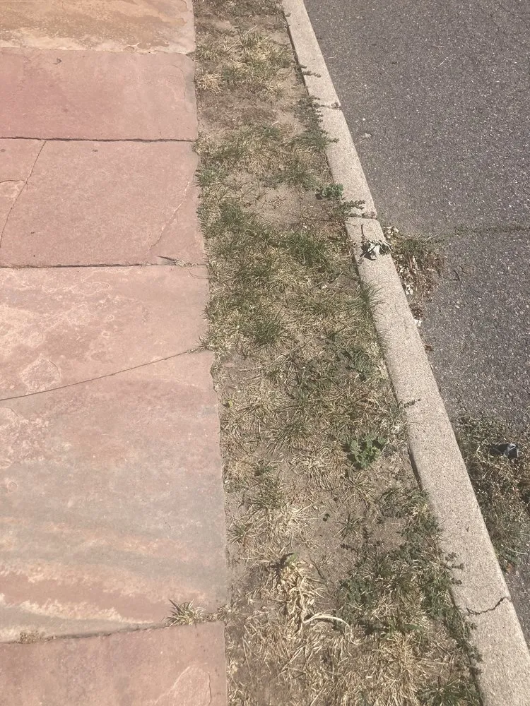 Custom landscape installation experts serving Lakewood, CO - Lawn Doctor of Metro Denver