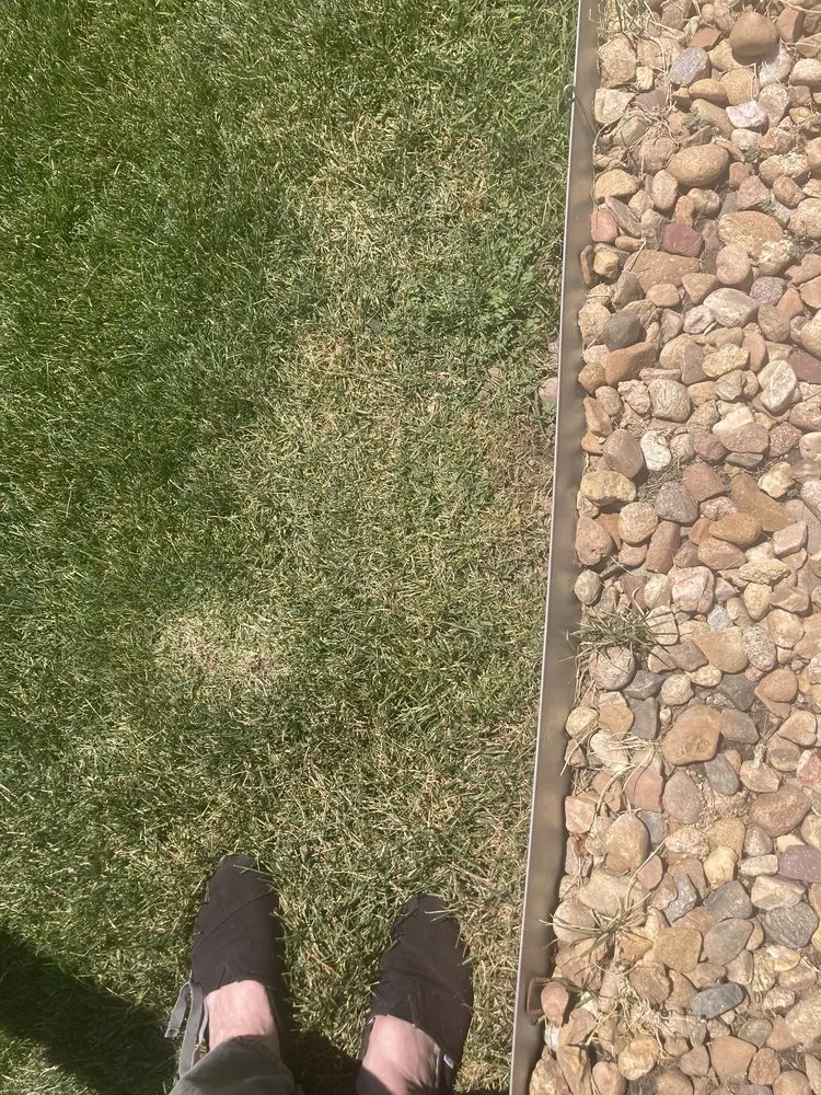 Affordable lawn mowing service in Lakewood, CO by Lawn Doctor of Metro Denver