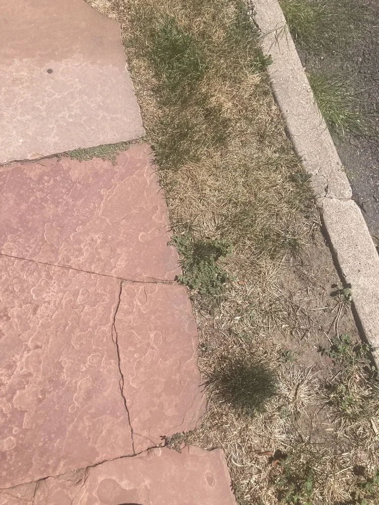 Professional lawn mowing service experts serving Lakewood, CO - Lawn Doctor of Metro Denver