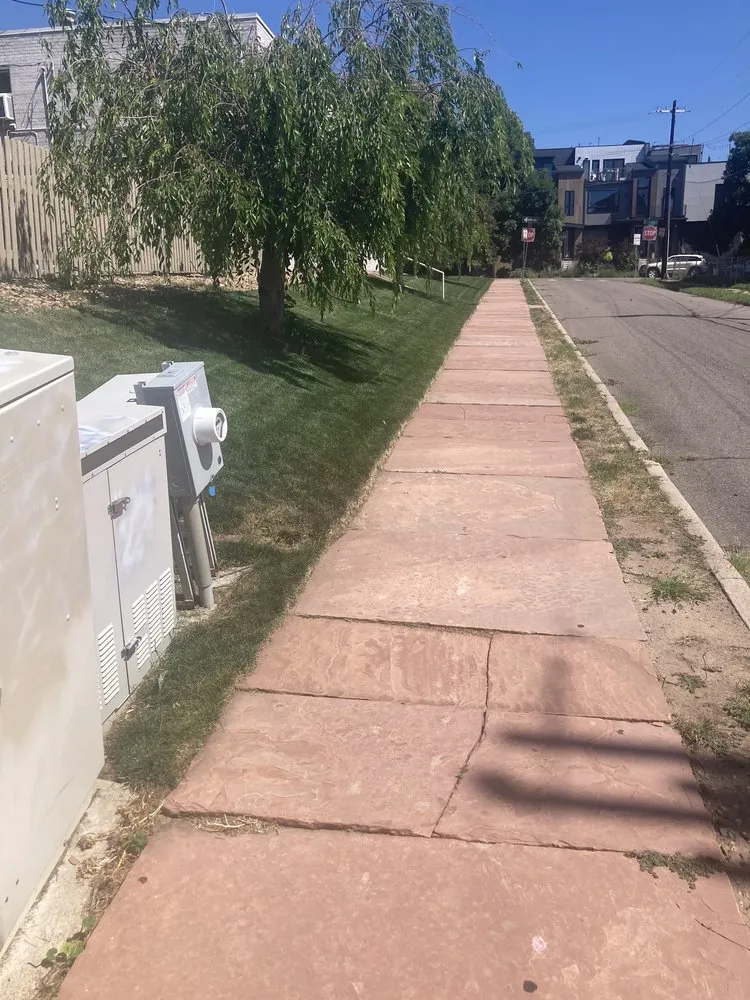 Professional lawn care service in Lakewood, CO by Lawn Doctor of Metro Denver