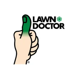 Top-rated yard cleanup service experts serving Lakewood, CO - Lawn Doctor of Metro Denver