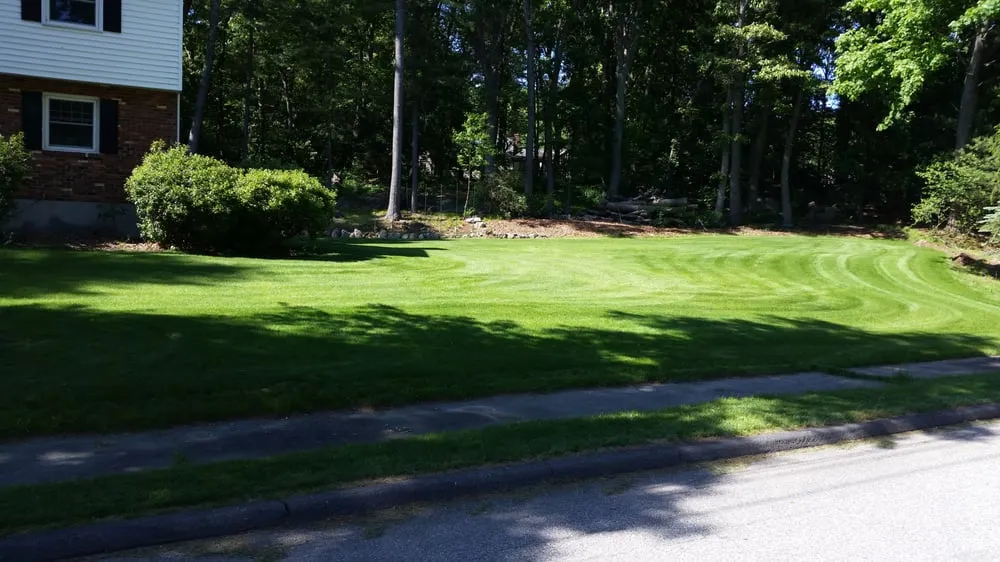 Reliable lawn care service experts serving Littleton, MA - Lawn Doctor of Metro West and North Shore