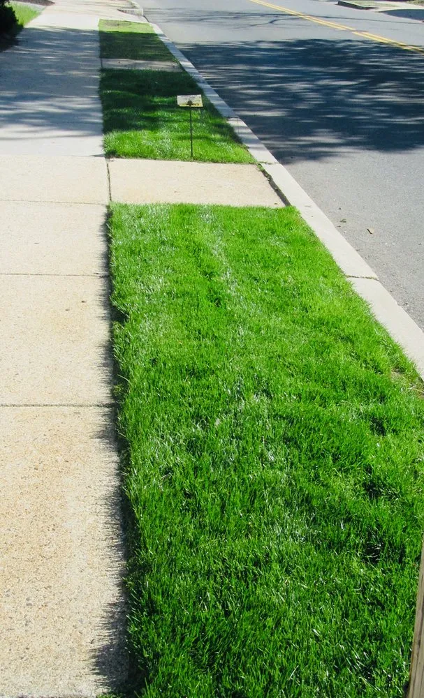 Expert landscape installation in Littleton, MA - Lawn Doctor of Metro West and North Shore