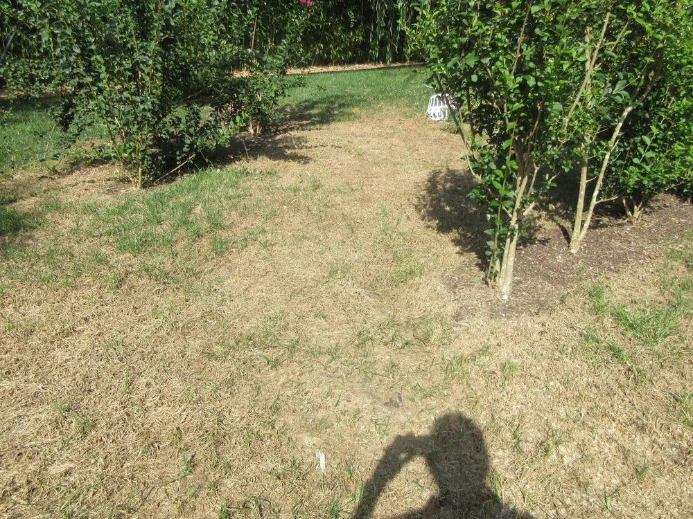 Trusted landscaping services for residential properties in Murfreesboro, TN by Lawn Doctor of Murfreesboro