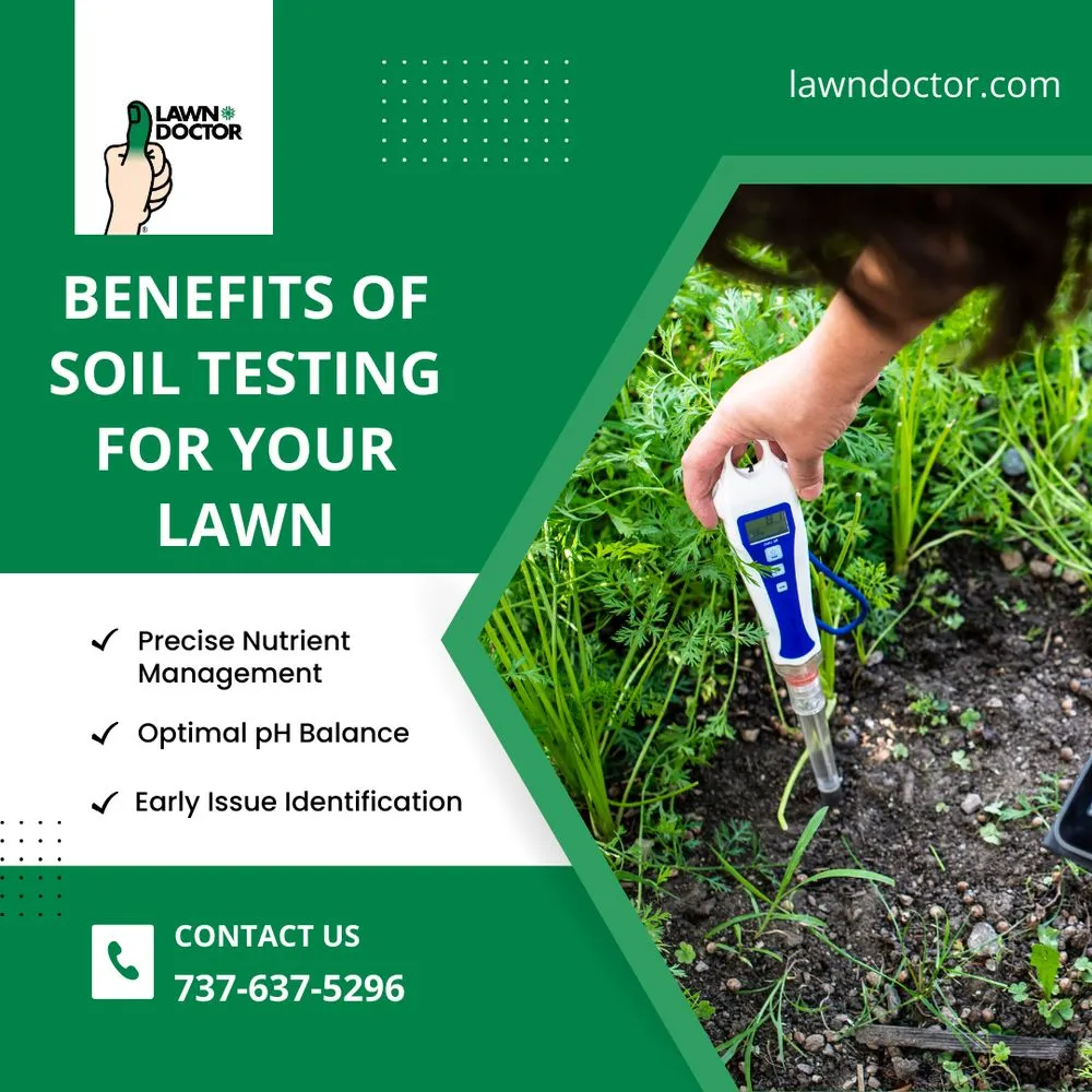 Top-rated outdoor landscaping in Austin, TX - Lawn Doctor of North Austin