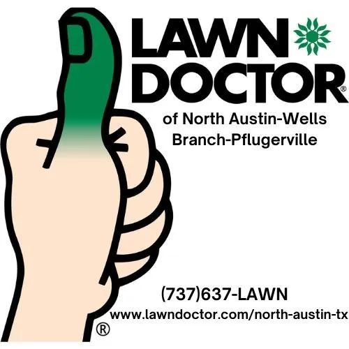 Top-rated garden landscaping experts serving Austin, TX - Lawn Doctor of North Austin