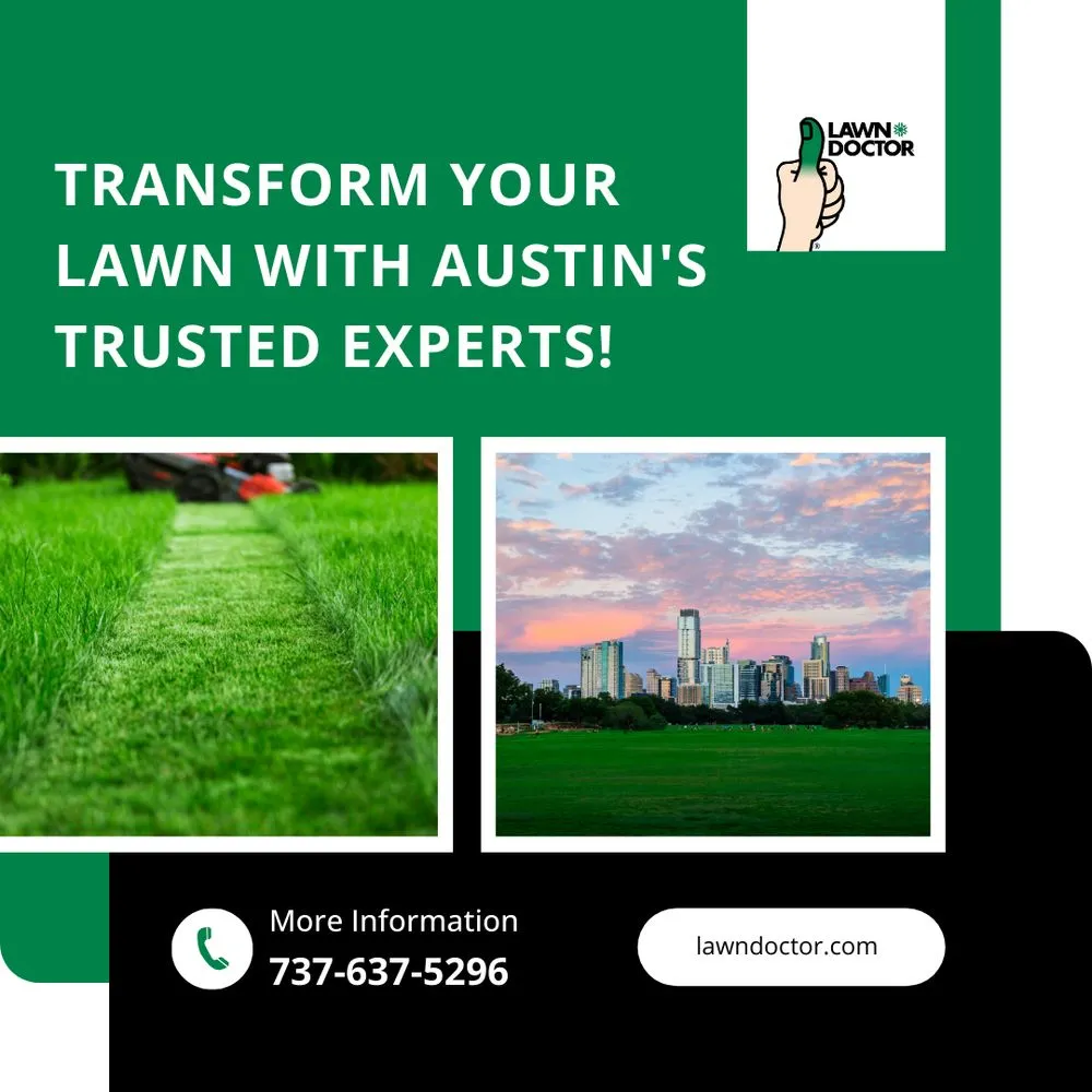 Custom landscape installation with custom design in Austin, TX by Lawn Doctor of North Austin