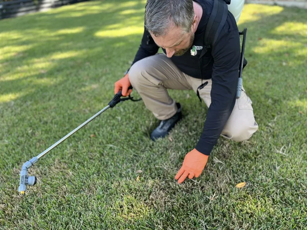 Expert landscaping services in Austin, TX - Lawn Doctor of North Austin