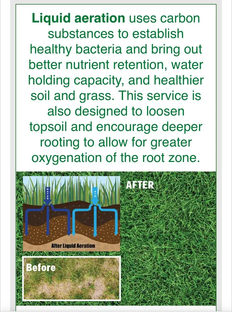 Local landscape installation for year-round maintenance across Austin, TX - Lawn Doctor of North Austin