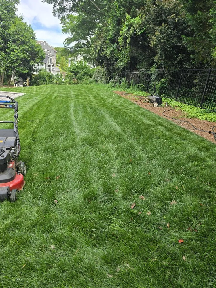 Expert landscape installation for beautiful yards across Raleigh, NC - Lawn Doctor of North Raleigh